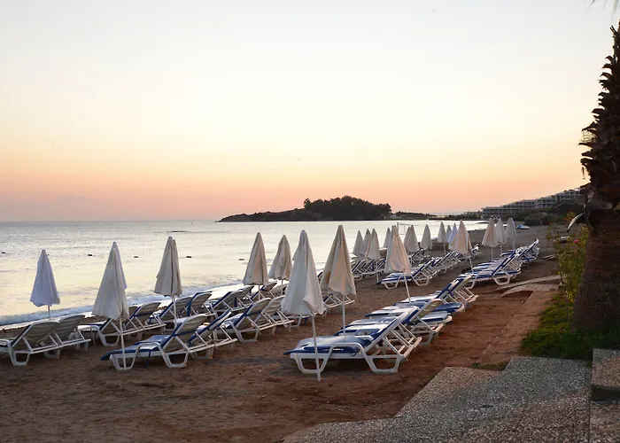 Notion Kesre & Özdere